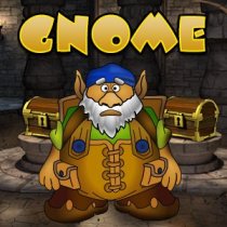 Laro Gnome Gnome