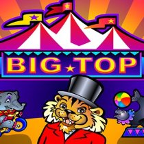 Laro Big Top Big Top
