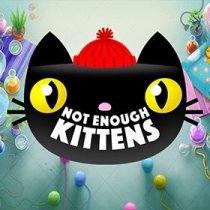Laro Not Enough Kittens Not Enough Kittens