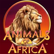 Laro Animals of Africa Animals of Africa