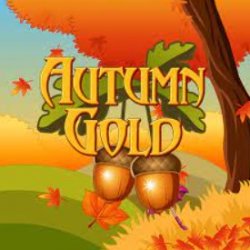 Laro Autumn Gold Autumn Gold